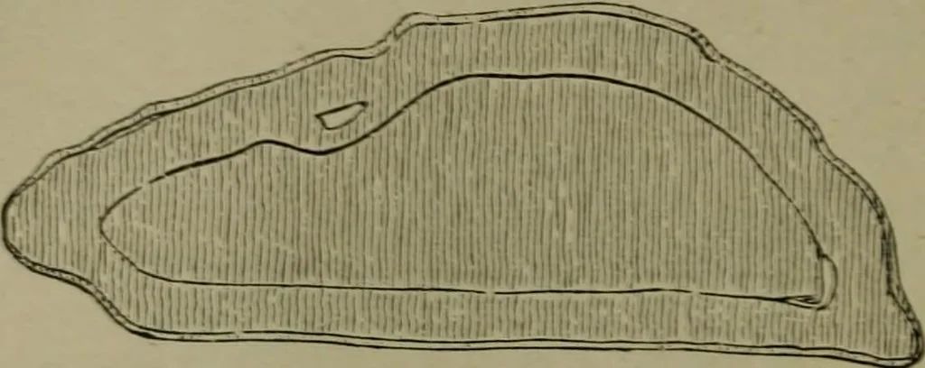An illustration from The dyeing of textile fabrics, 1885, leaf 60