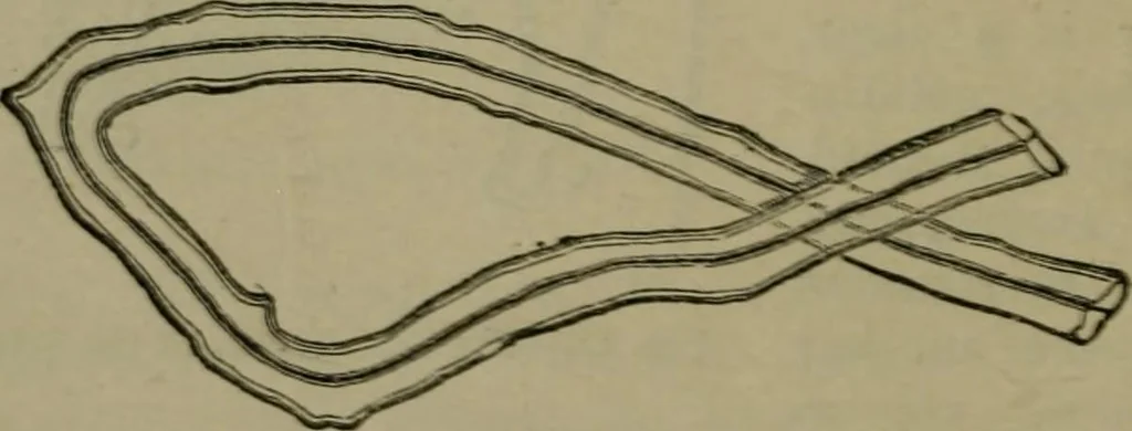 An illustration from The dyeing of textile fabrics, 1885, leaf 60
