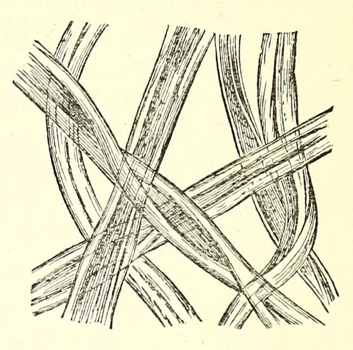 An illustration from The dyeing of textile fabrics, 1888, leaf 23