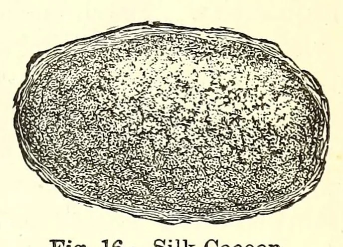 An illustration from The dyeing of textile fabrics, 1888, leaf 67