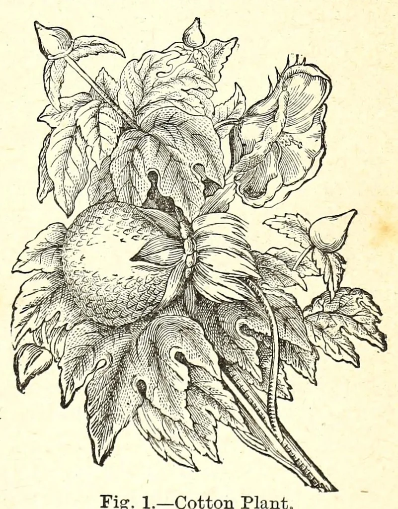 An illustration from The dyeing of textile fabrics, 1890, leaf 17
