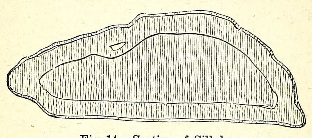 An illustration from The dyeing of textile fabrics, 1890, leaf 62