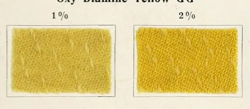 An illustration from The dyeing of unions : with the dyestuffs of Leopold Cassella & Co., G.m.b.H., Frankfort o.M, 1906, leaf 21