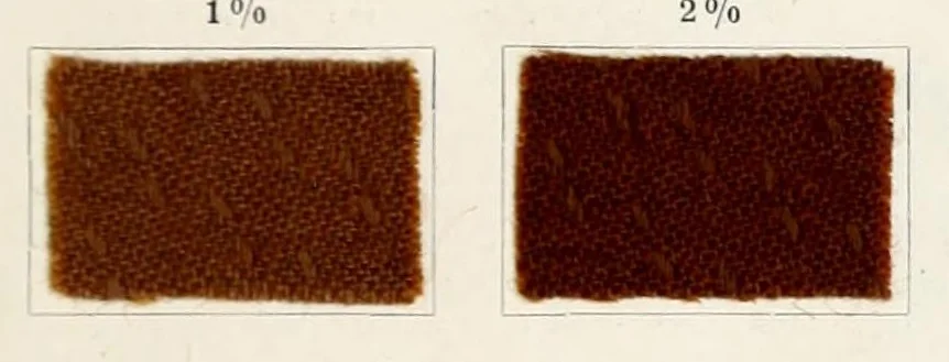 An illustration from The dyeing of unions : with the dyestuffs of Leopold Cassella & Co., G.m.b.H., Frankfort o.M, 1906, leaf 27