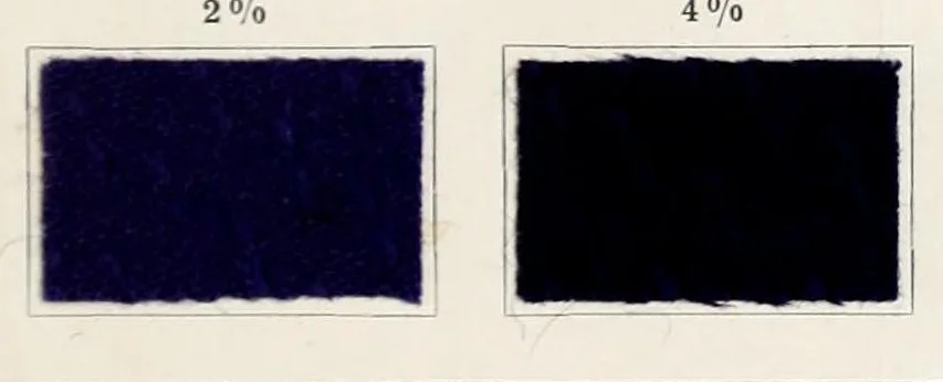 An illustration from The dyeing of unions : with the dyestuffs of Leopold Cassella & Co., G.m.b.H., Frankfort o.M, 1906, leaf 29