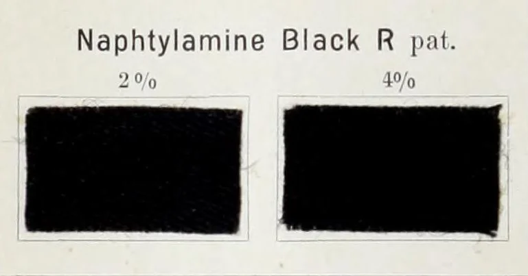 An illustration from The Dyeing of wool including wool-printing : with the dyestuffs of Leopold Cassella & Co., G.m.b.H., Frankfort o. M. : American branch, Cassella Color Company, New York, 1905, leaf 68