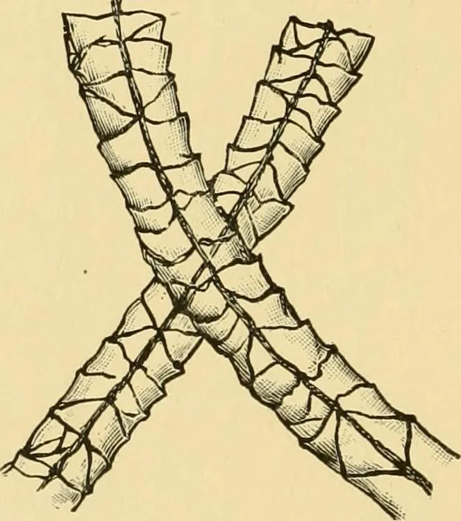 An illustration from Dyeing of Woollen fabrics, 1902, leaf 15