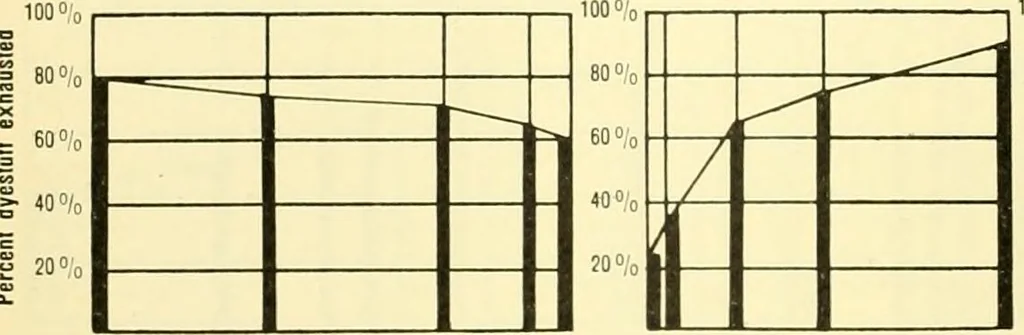 An illustration from Dyeing properties, direct dyestuffs, 1900, leaf 60
