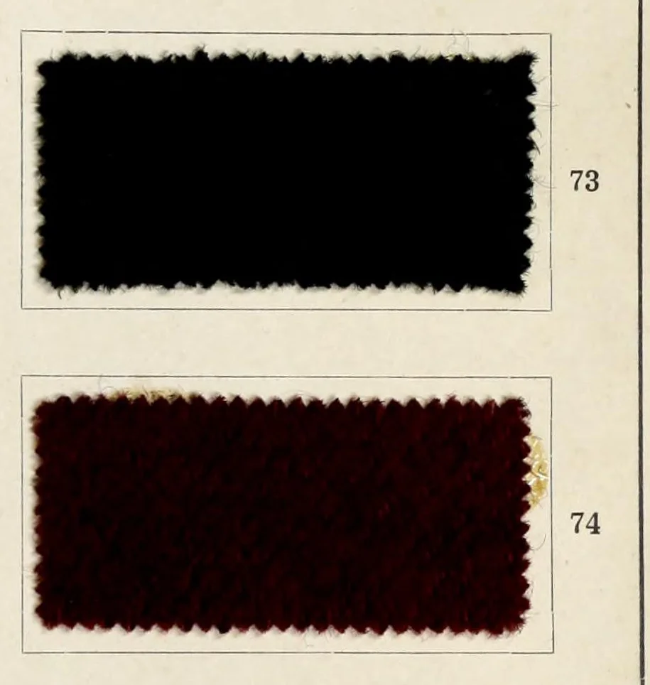 An illustration from Dyeings on union shoddy cloth, 1900, leaf 17