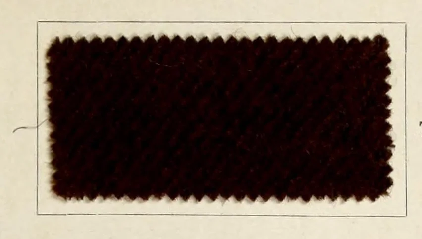An illustration from Dyeings on union shoddy cloth, 1900, leaf 17