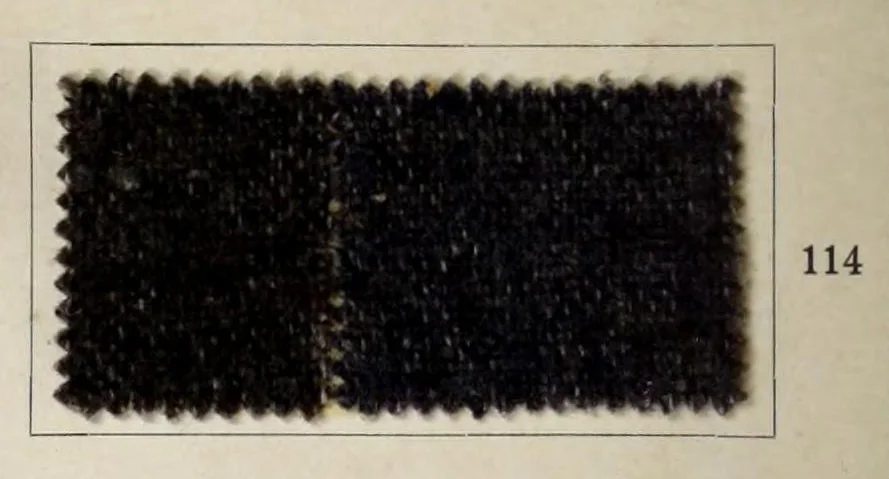 An illustration from Dyeings on union shoddy cloth, 1900, leaf 24