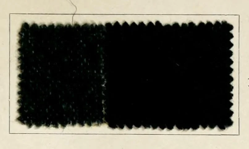An illustration from Dyeings on union shoddy cloth, 1900, leaf 25