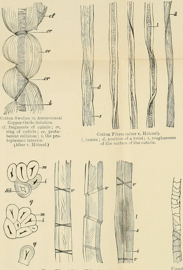 An illustration from Dyers' materials; an introduction to the examination, evaluation and application of the most important substances used in dyeing, printing, bleaching and finishing, 1901, leaf 169
