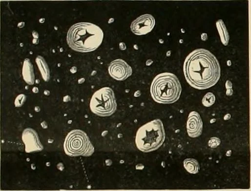 An illustration from Dyers' materials; an introduction to the examination, evaluation and application of the most important substances used in dyeing, printing, bleaching and finishing, 1901, leaf 171