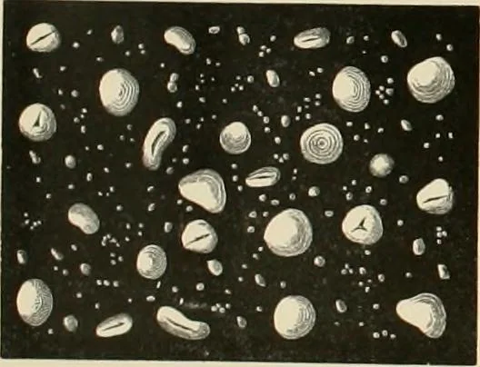 An illustration from Dyers' materials; an introduction to the examination, evaluation and application of the most important substances used in dyeing, printing, bleaching and finishing, 1901, leaf 171