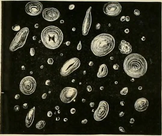 An illustration from Dyers' materials; an introduction to the examination, evaluation and application of the most important substances used in dyeing, printing, bleaching and finishing, 1901, leaf 171
