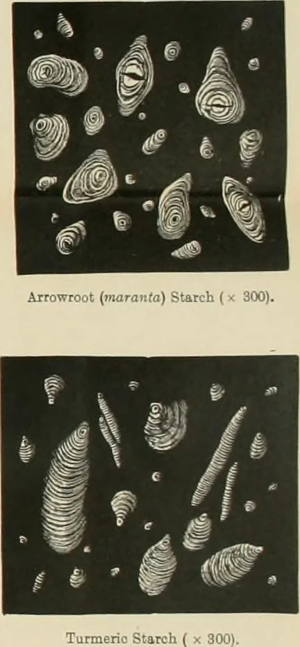An illustration from Dyers' materials; an introduction to the examination, evaluation and application of the most important substances used in dyeing, printing, bleaching and finishing, 1901, leaf 171
