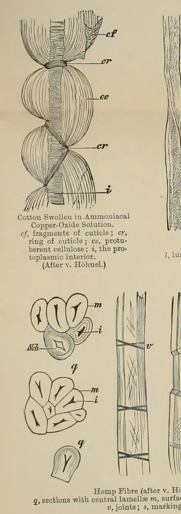 An illustration from Dyers' materials : an introduction to the examination, evaluation and application of the most important substances used in dyeing, printing, bleaching and finishing, 1901, leaf 171