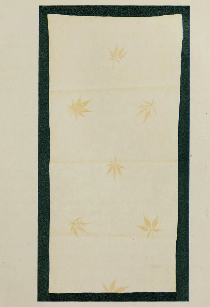 An illustration from Dyes and dyeing, 1913, leaf 45