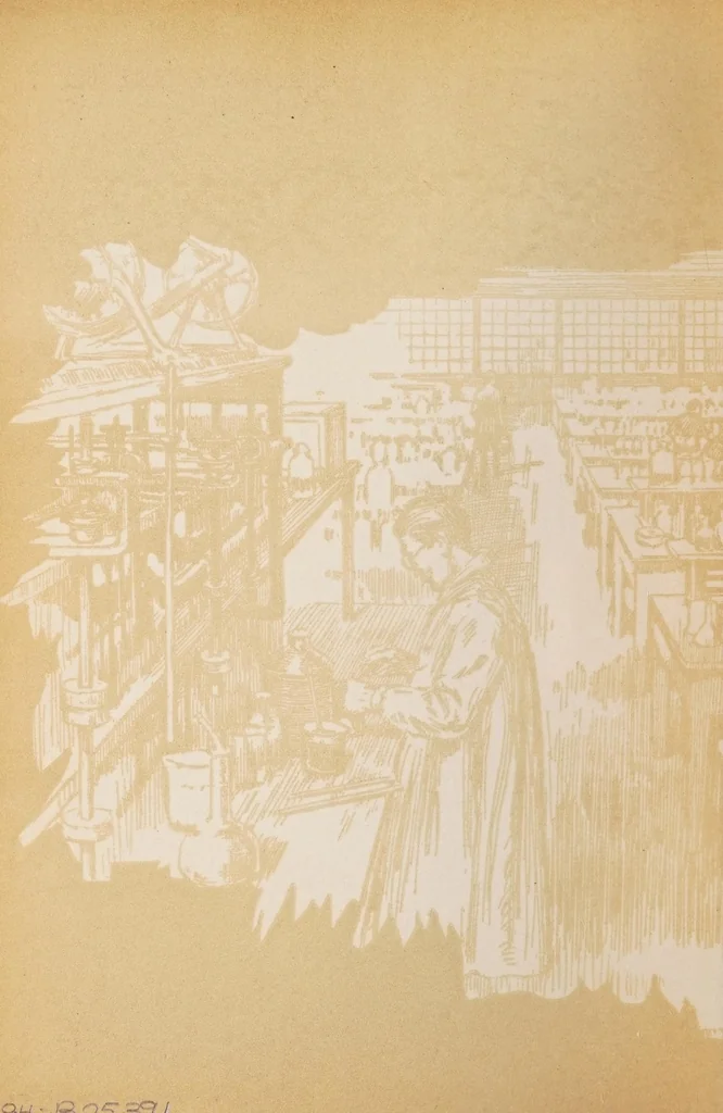 An illustration from Dyes for leather : showing colors which are most suitable to this material and demanded by the trade., 1917, leaf 36