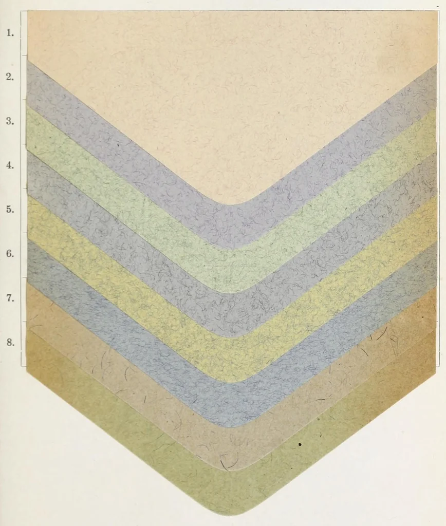 An illustration from The dyestuffs for paper dyeing, 1911, leaf 85