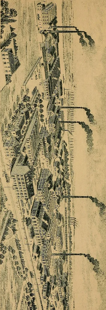 An illustration from The dyestuffs of the Society of Chemical Industry in Basle and their application, 1903, leaf 6