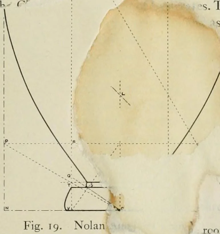 An illustration from Dynamic symmetry: the Greek vase, 1920, leaf 79