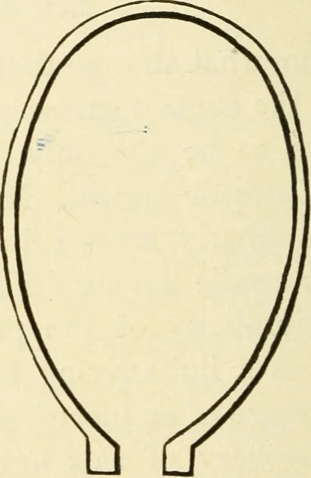 An illustration from Dynamo-electricity: its generation, application, transmission, storage and measurement, 1884, leaf 177