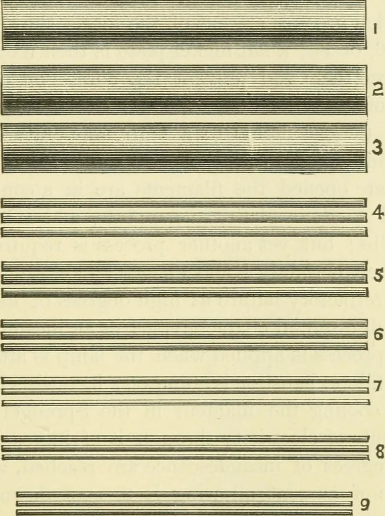An illustration from Dynamo-electricity: its generation, application, transmission, storage and measurement, 1884, leaf 188