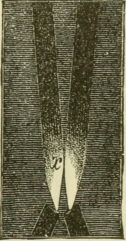 An illustration from Dynamo-electricity: its generation, application, transmission, storage and measurement, 1884, leaf 336