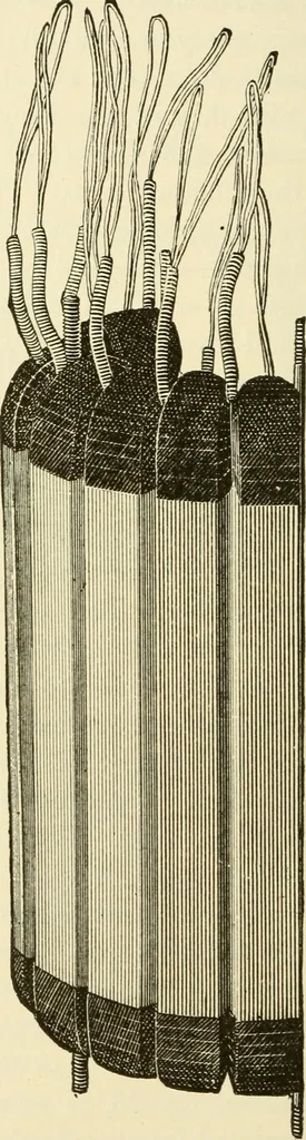 An illustration from Dynamo-electricity: its generation, application, transmission, storage and measurement, 1884, leaf 659