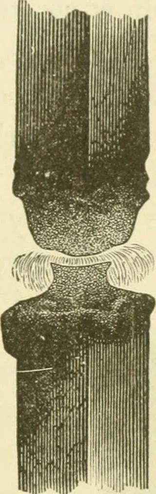 An illustration from Dynamo-electricity: its generation, application, transmission, storage and measurement, 1884, leaf 72