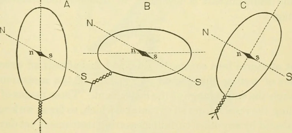 An illustration from Dynamo-electricity: its generation, application, transmission, storage and measurement, 1884, leaf 812