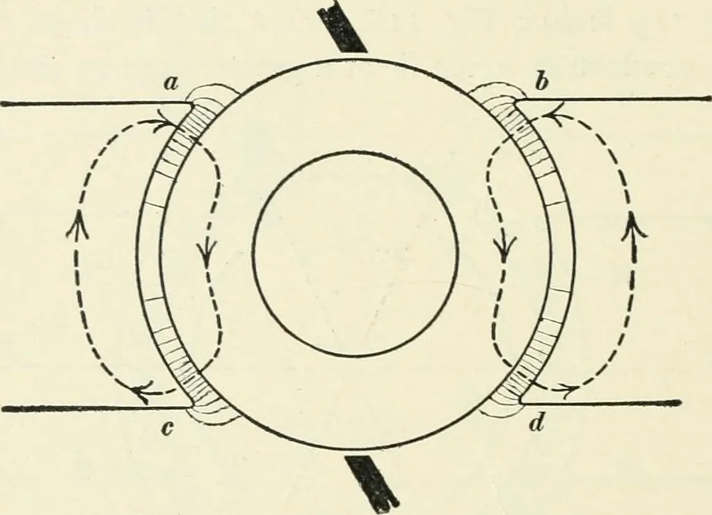 An illustration from Dynamos and motors; a text book for colleges and technical schools, 1911, leaf 191