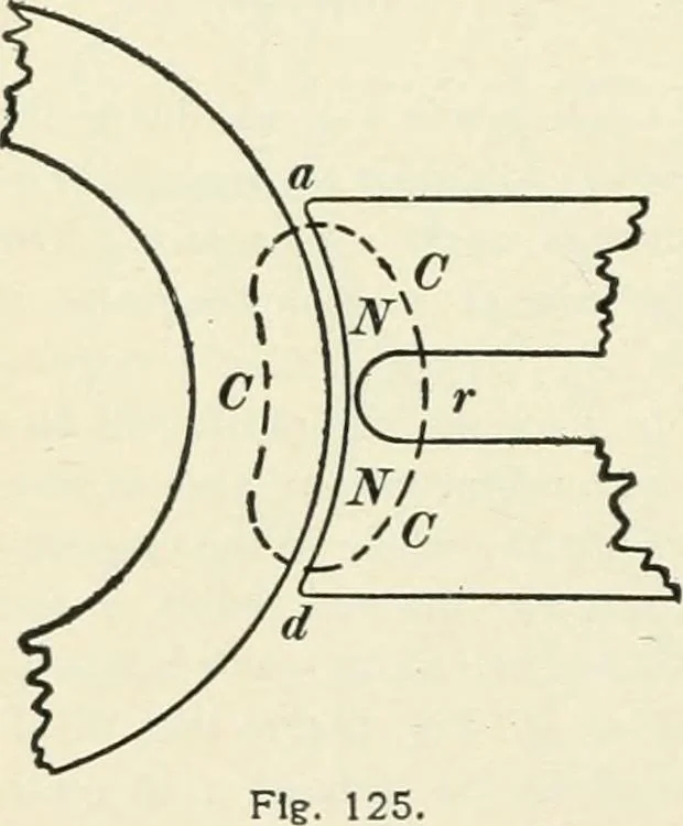 An illustration from Dynamos and motors; a text book for colleges and technical schools, 1911, leaf 195