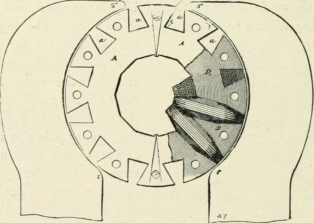 An illustration from Dynamos and motors; a text book for colleges and technical schools, 1911, leaf 61