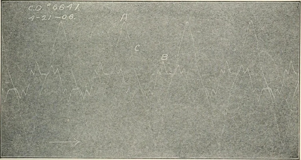 An illustration from Dynamos and motors; a text book for colleges and technical schools, 1911, leaf 98