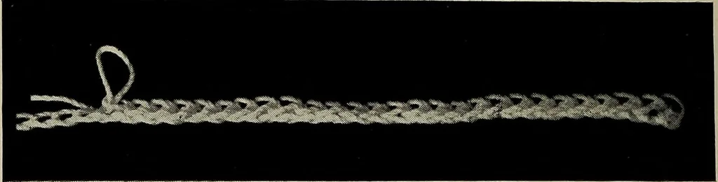 An illustration from The Eagle's call to crochet .., 1915, leaf 7