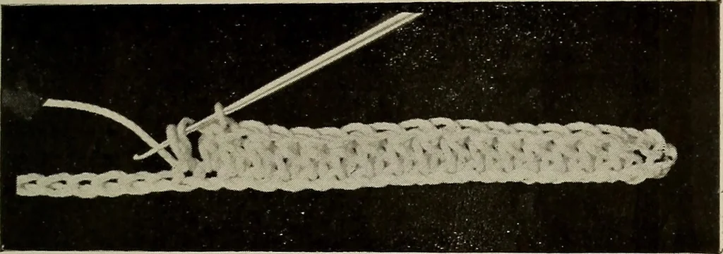 An illustration from The Eagle's call to crochet .., 1915, leaf 8