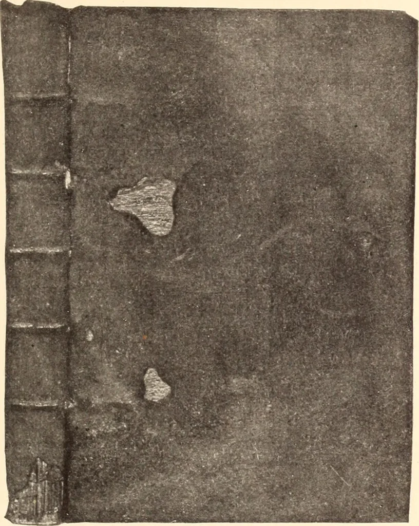 An illustration from Early America bookbinding and kindred subjects, 1902, leaf 13