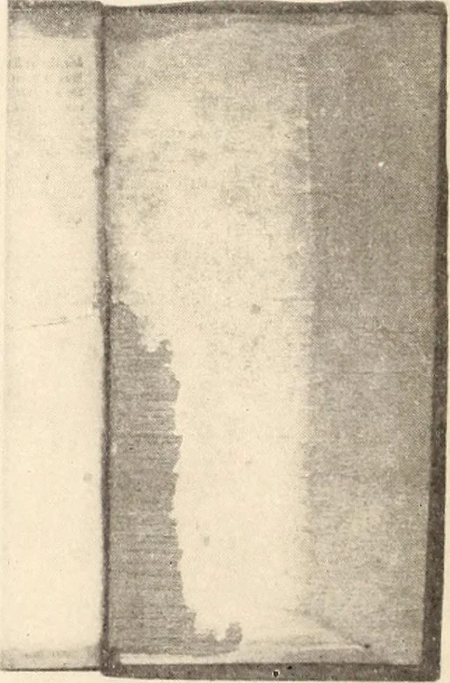 An illustration from Early America bookbinding and kindred subjects, 1902, leaf 22
