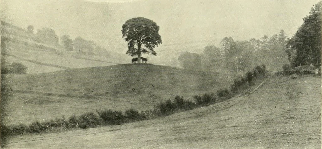 An illustration from Early British trackways : moats, mounds, camps, and sites, 1922, leaf 53