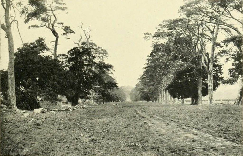 An illustration from Early British trackways : moats, mounds, camps, and sites, 1922, leaf 53