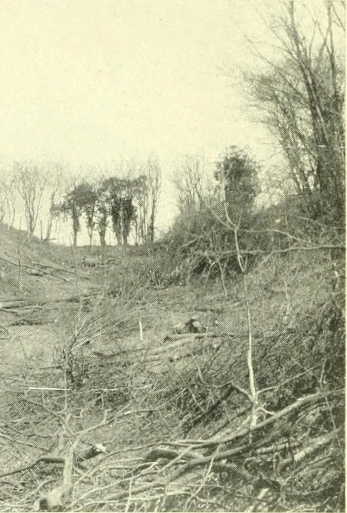 An illustration from Early British trackways : moats, mounds, camps, and sites, 1922, leaf 54
