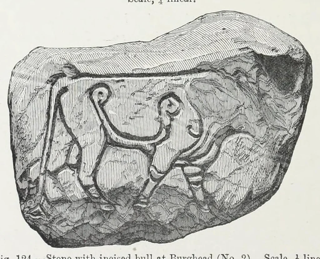 An illustration from The early Christian monuments of Scotland, 1903, leaf 154