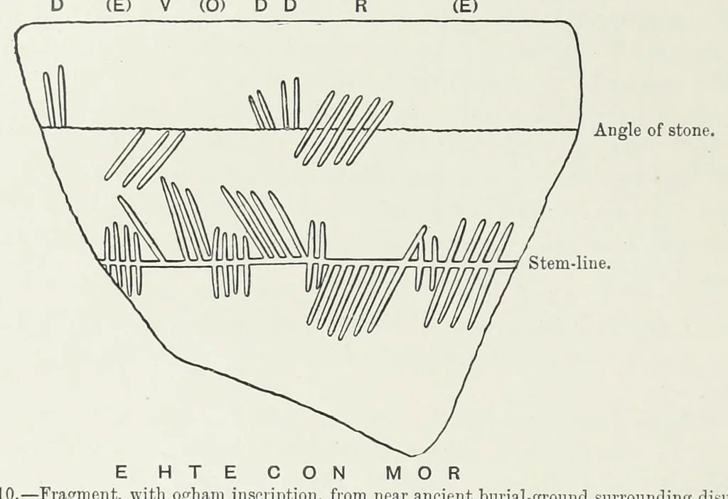 An illustration from The early Christian monuments of Scotland, 1903, leaf 22