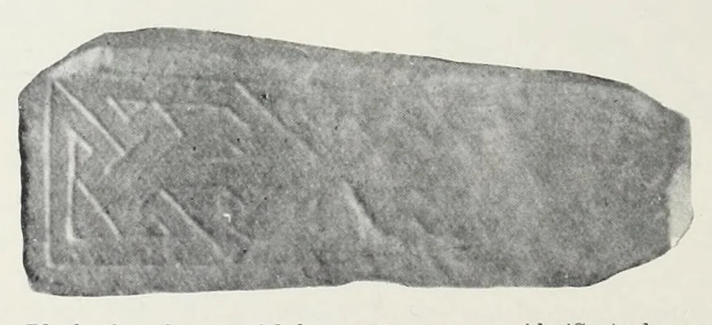 An illustration from The early Christian monuments of Scotland, 1903, leaf 736