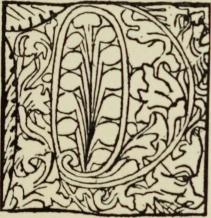 An illustration from Early woodcut initials : containing over thirteen hundred reproductions of ornamental letters of the fifteenth and sixteenth centuries, 1908, leaf 136