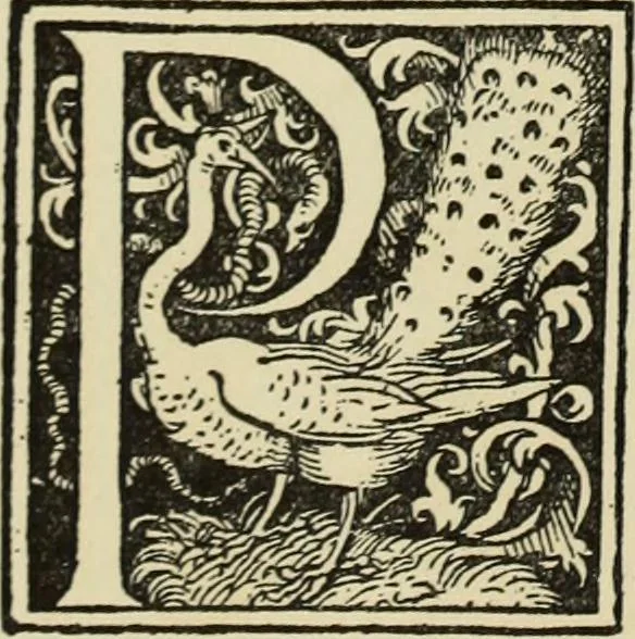An illustration from Early woodcut initials : containing over thirteen hundred reproductions of ornamental letters of the fifteenth and sixteenth centuries, 1908, leaf 143