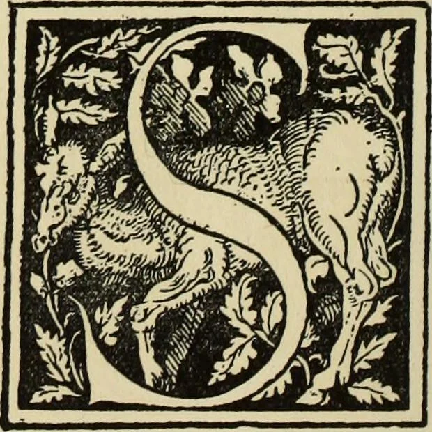 An illustration from Early woodcut initials : containing over thirteen hundred reproductions of ornamental letters of the fifteenth and sixteenth centuries, 1908, leaf 143